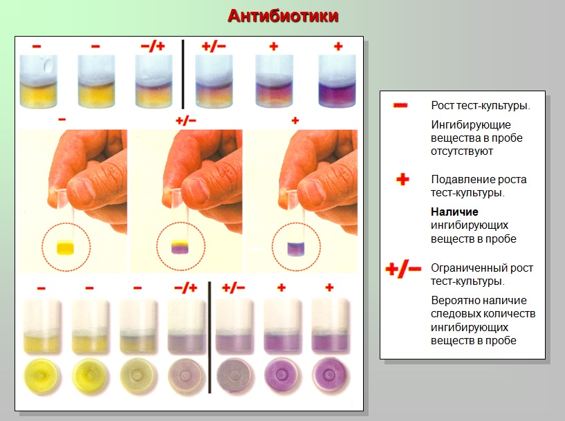Тесты для определения в молоке. Тест полоски для определения антибиотиков в молоке. Тесты для определения антибиотиков в молоке. 4sensor тест на антибиотики. Тест на антибиотики в молоке 4sensor форсенсор комплект 96 шт.