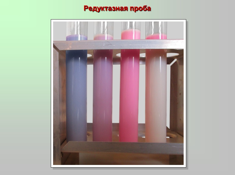 проба на редуктазу. проба на редуктазу в молоке. редуктаза молока это. редуктазная проба молока. редуктазная проба молока гост.