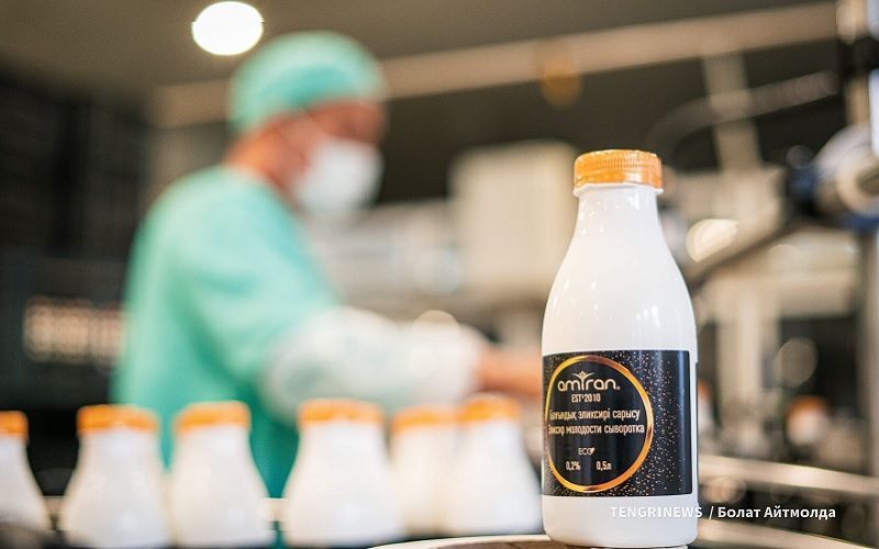 Amiran: полный цикл производства молока от поля до переработки Amiran: полный цикл производства молока от поля до переработки