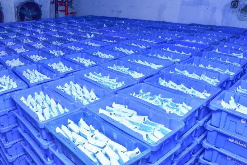 Kerala dairy procurement rose by 14%