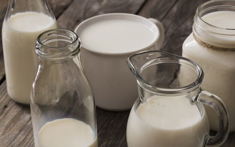 Turkestan region leads in milk yield growth in the first half of the year among all regions of Kazakhstan