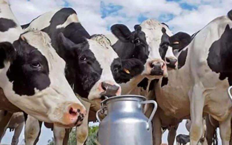 Salida de Fonterra por 4.200 millones de dólares: Un cambio estratégico hacia las proteínas lácteas