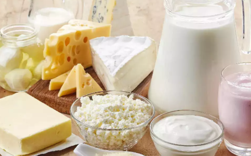 Punjab Government Introduces Livestock Card to Boost Dairy and Meat Sectors