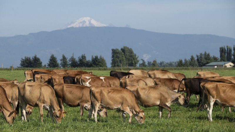 Dairy Max Advances Dairy Sector Through Nutritional Science and Innovation