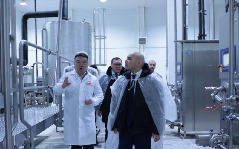 Казахстанский министр увидел как делают мороженое