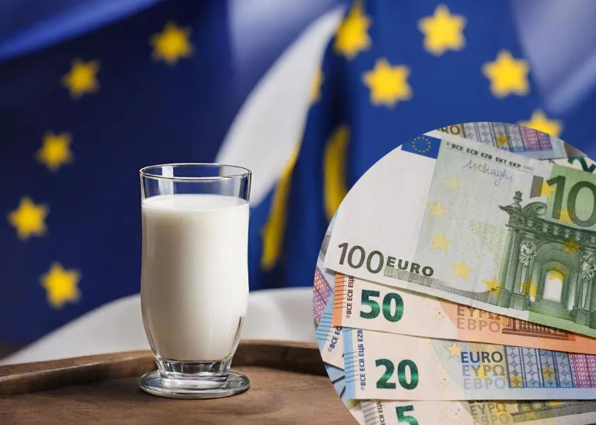 EU Milk Prices Rose in August as Heatwaves Cut Output
