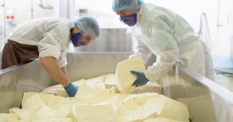 Global Cheese Market Sees Diverging Trends Amid Production Changes