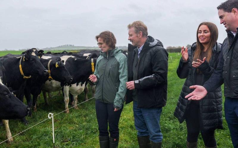 Ireland Opens Application for 2026 Nitrates Derogation and Dairy Band Confirmation