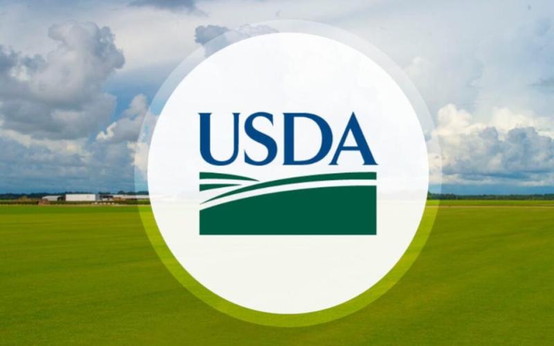 USDA Allocates $7.5M to Expand Black Creek Cheese in Wisconsin