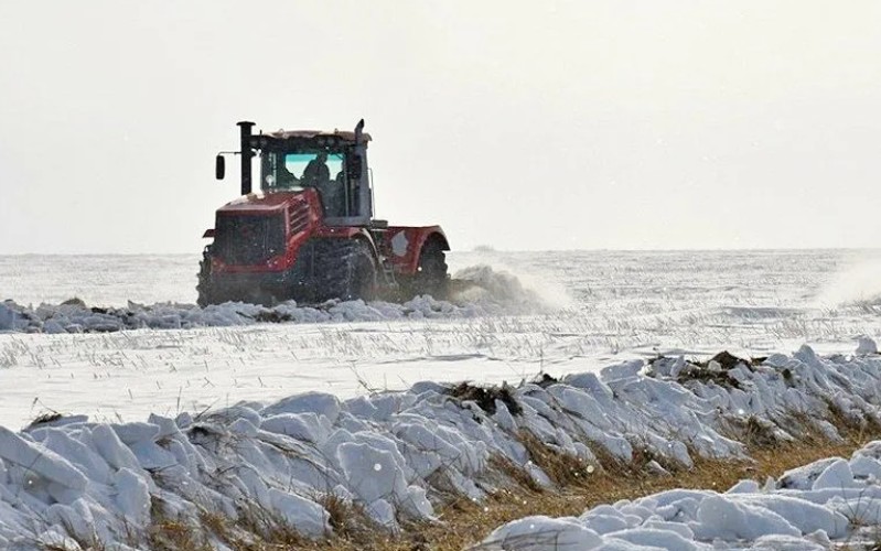 Североказахстанские фермеры пытаются удержать снег на полях