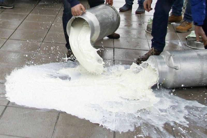 Castilla y León farmers say milk production costs have exceeded 50 cents per kilogram