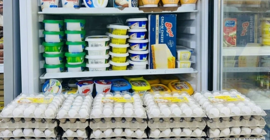 Iraq Reduces Dairy and Egg Imports by Nearly 50% in 2025