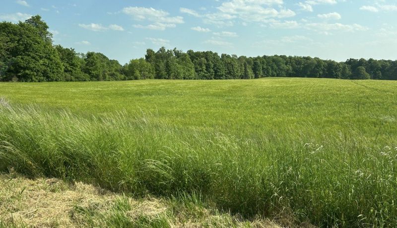 New York Dairy Farms Collaborate to Enhance Biodiversity and Sustainability