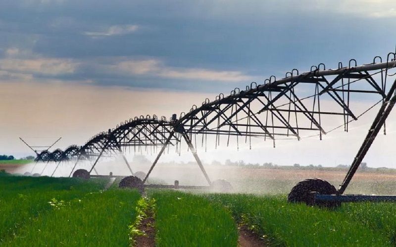 Цифровой контроль воды и налоговые льготы: что изменится в АПК Казахстана в 2026 году Цифровой контроль воды и налоговые льготы: что изменится в АПК Казахстана в 2026 году