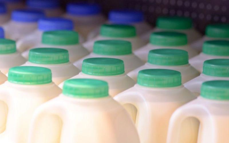 UK Dairy Processor First Milk Maintains Milk Price for March