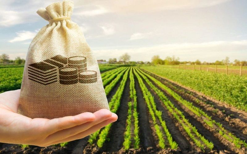 Производство сельхозпродукции в России к 2027 году вырастет на 4,4%