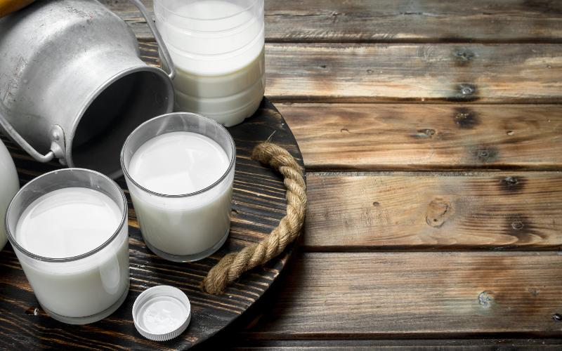 UK Dairy Exports Reach Record Levels with EU as Key Market