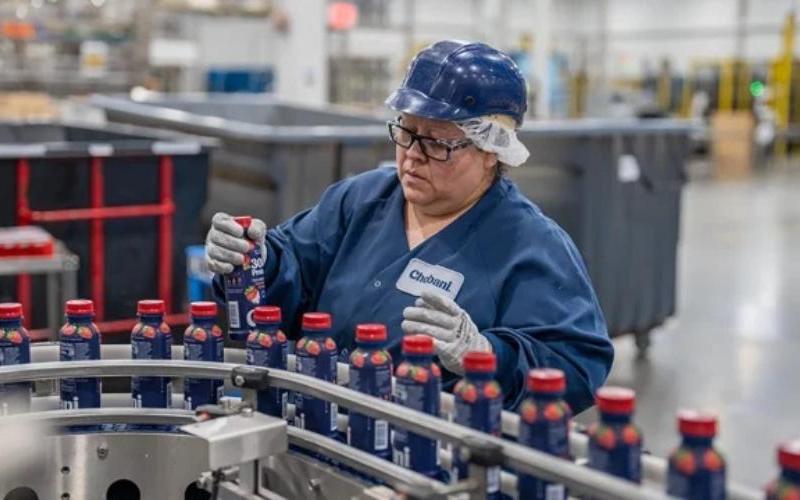 Doud: ABD Süt Ürünleri İşgücü ve Ticaretini Kurtarmak için 3 Politika Kolu