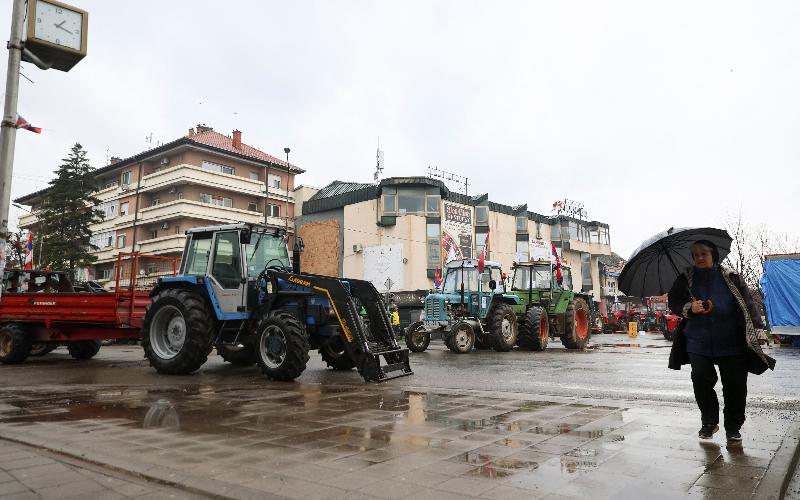 Serbian Farmers Demand Higher Subsidies and Import Restrictions