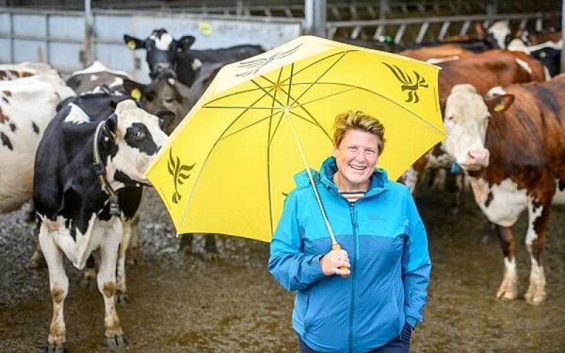 UK MPs Demand Stronger Dairy Regulation Amidst Significant Milk Price Cuts