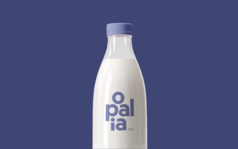 Opalia and Hoogwegt's Partnership to Pioneer Cell-Based Dairy Market