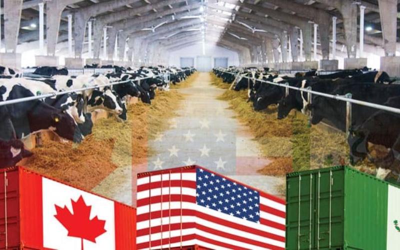 Американская молочная промышленность выступает за усиление соблюдения USMCA