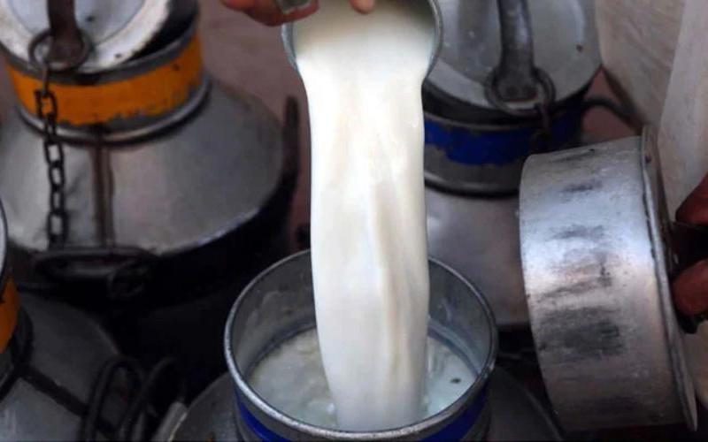 Aumento de Precios de Leche y Yogur en Rawalpindi Genera Preocupación