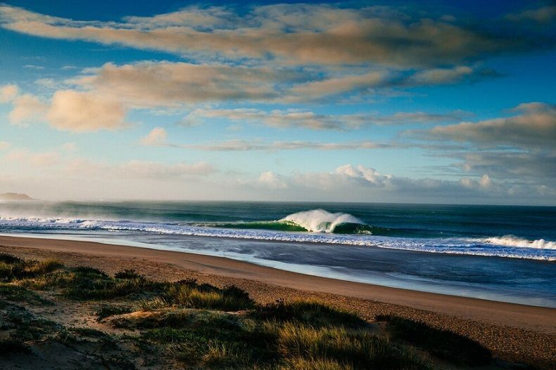 Auckland Secures Hosting Rights for World Dairy Summit 2026