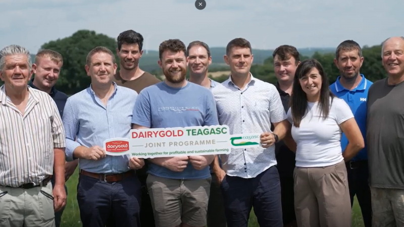 Dairygold and Teagasc launch four-year dairy farming programme