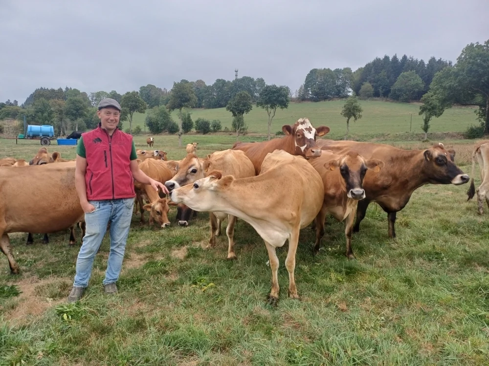 Jersey Herd on a French Farm: Farmers Discuss Milk Composition and Cheese Yield
