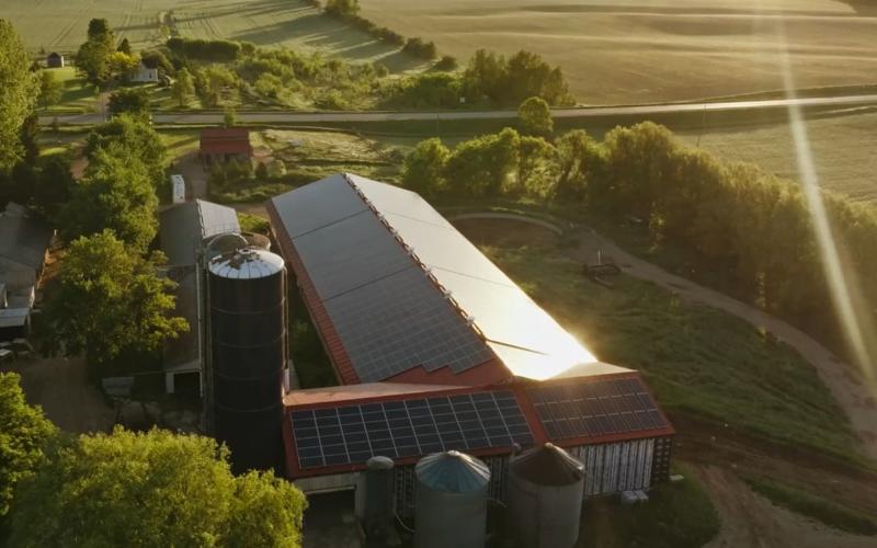 Berkeley Farm Dairy Adopts Solar Power to Boost Sustainability