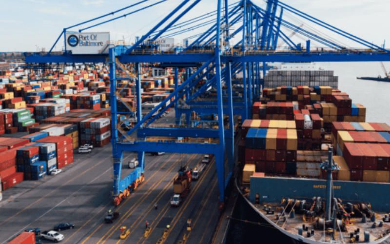 Bihar, Süt Yem Sorunlarını Çözmek İçin Coğrafi Uzay Teknolojisini Kullanıyor