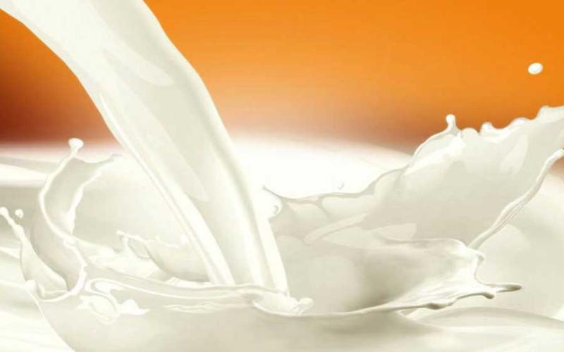 Delhi Milk Scheme Introduces Cow Milk and Co-Branded Products to Strengthen NCR Presence