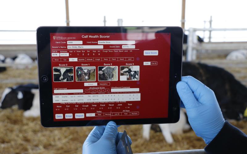 Veterinarian Transforms Dairy Farming with Digital Media Innovations