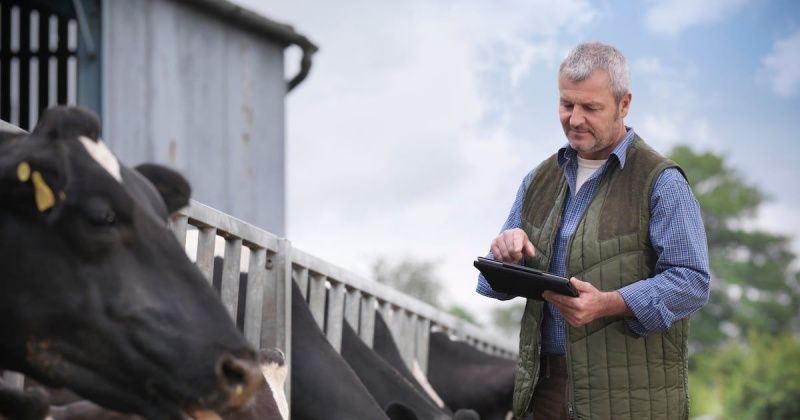 Nestlé partners with dairy firms to scale regenerative agriculture