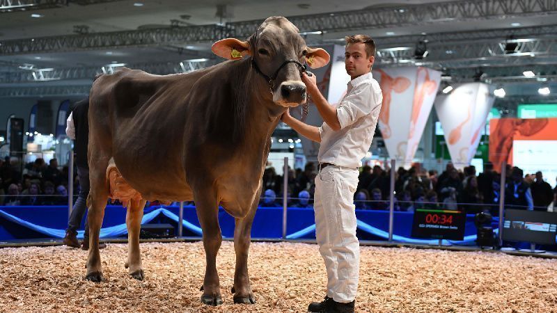 EuroTier 2026 to Showcase AI and Robotics Solutions for Livestock Farming