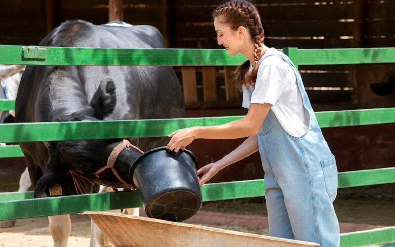 Цены на комбикорма для КРС в России впервые с февраля опустились ниже 22 тыс. руб./т