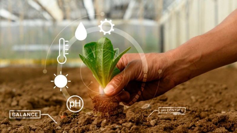 Danone cuts its Mexican carbon footprint by 30% since 2020