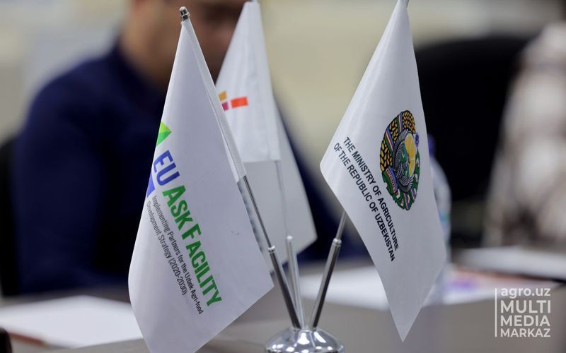 Семинар по деятельности сотрудников внутреннего аудита в сельском хозяйстве