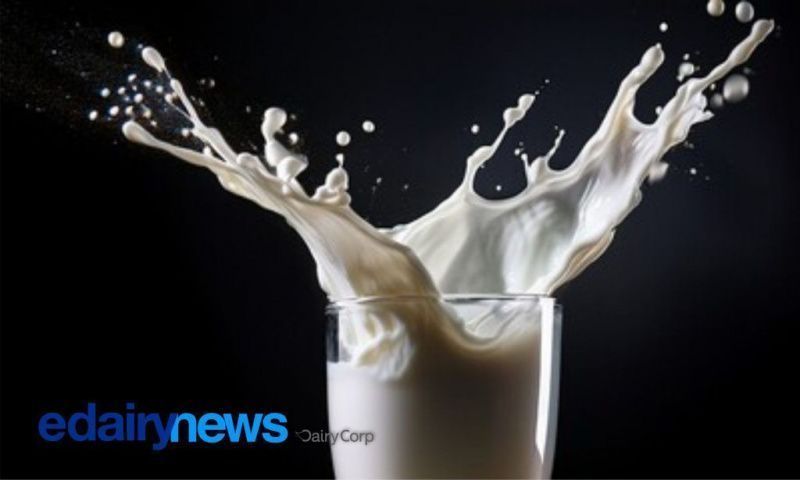 Brazil's Demand Shapes the Mercosur Dairy Market Dynamics