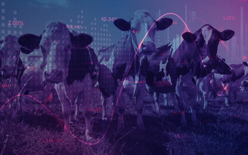 Mexican Agricultural Sector Urges Protection of Animal Protein Inputs in T-MEC