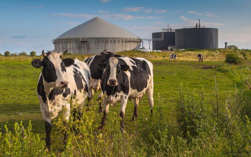 USDA, Sektör Endişeleri Nedeniyle Gübre Biyogaz Projeleri İçin Fonları Askıya Aldı