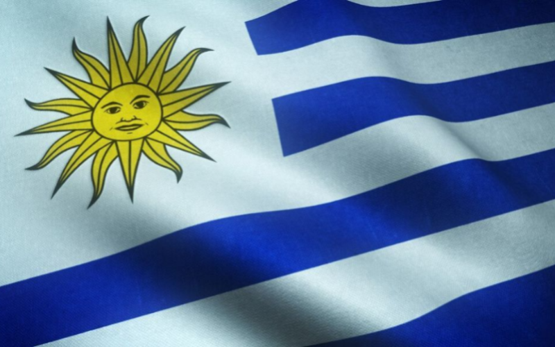 Uruguayan Dairy Export Dynamics: Cheese Down, Milk Powder Up