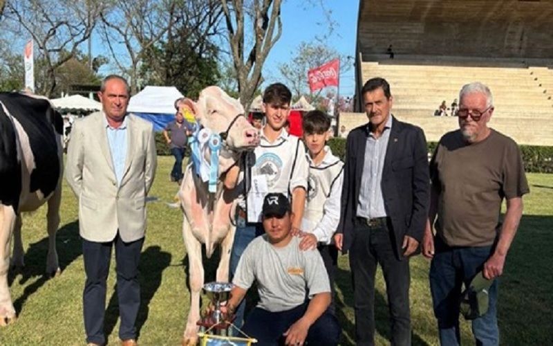 Holando Breed Crowns Champions at San Francisco Expo