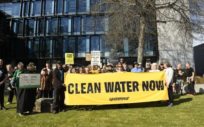 Greenpeace, Canterbury'deki Nitrat Krizi İçin Süt Dönüşümlerini Eleştiriyor