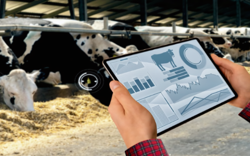 AI-Powered Brokerage Revolutionizes Dairy Commodity Trading