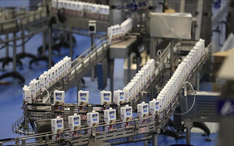 Accusations of Inaction in Spain's Milk Price Pact