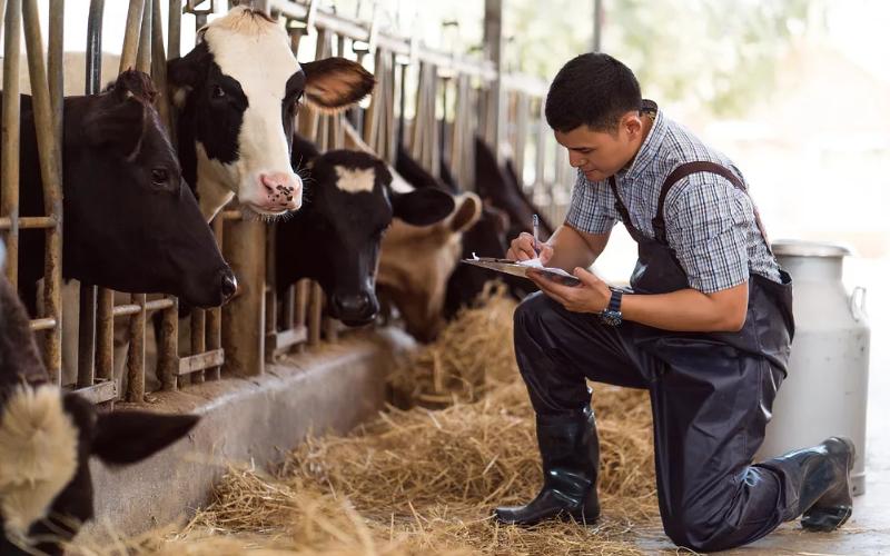 ميلوتيس تفوز بجائزة AgTech Breakthrough لعام 2025 لحل إنتاجية الألبان
