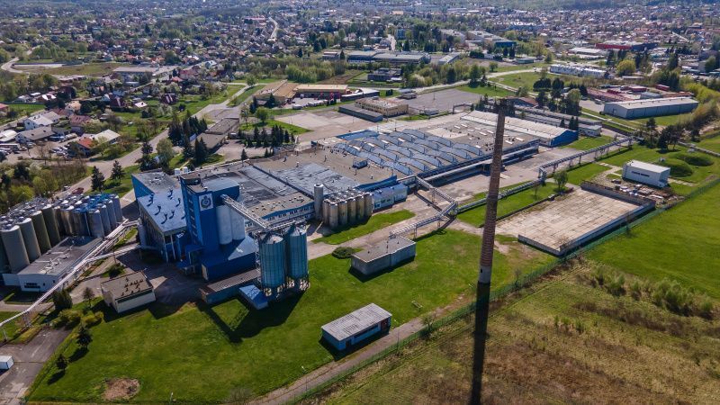 Mycofeast acquires Daisy Lab to expand precision-fermented dairy capabilities