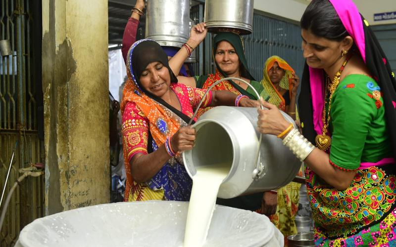 Prayagraj Bölgesinde Süt Üretimini Geliştirecek 3.000 Kadın